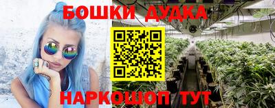 мдпв Пушкино