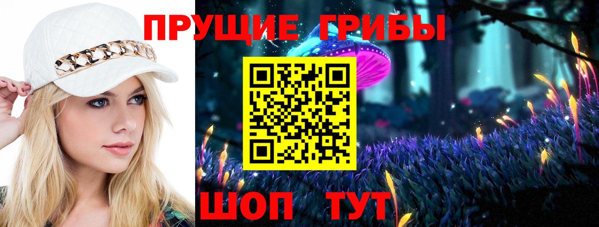 Псилоцибиновые грибы Psilocybe  Вход с VPN  Иркутск 