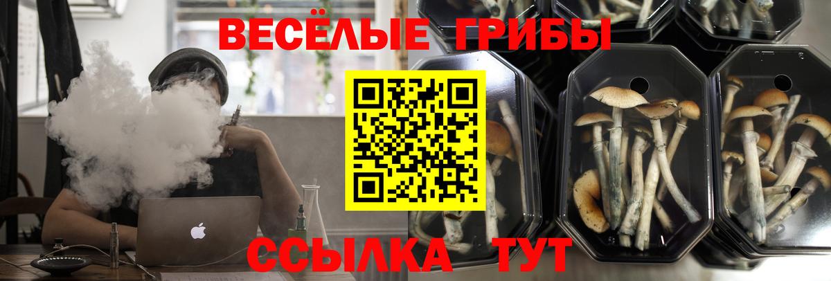 Галлюциногенные грибы мухоморы Иркутск